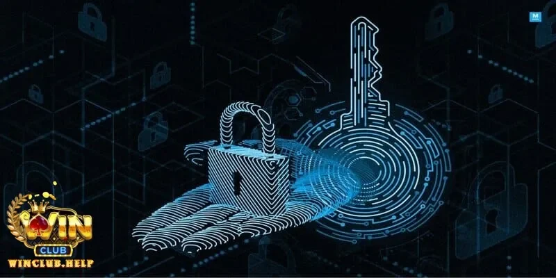 Các biện pháp bảo vệ quyền riêng tư của người dùng khi tham gia Winclub