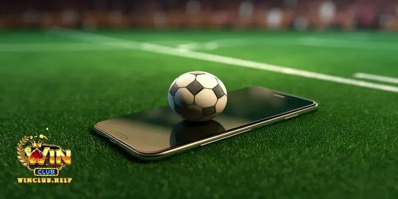 Kinh nghiệm soi kèo xiên chuẩn nhất